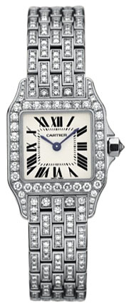 Cartier Santos de Cartier Imitation Silver Case Automatic Chronograph Watch