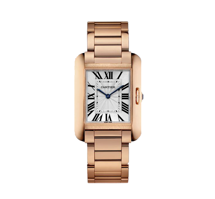 Cartier W5310041 Swiss-Ideal Chronograph Steel Bezel Dive Watch