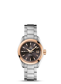 Omega Seamaster 231.20.30.20.06.003 Teak Grey Replica Automatic Watch